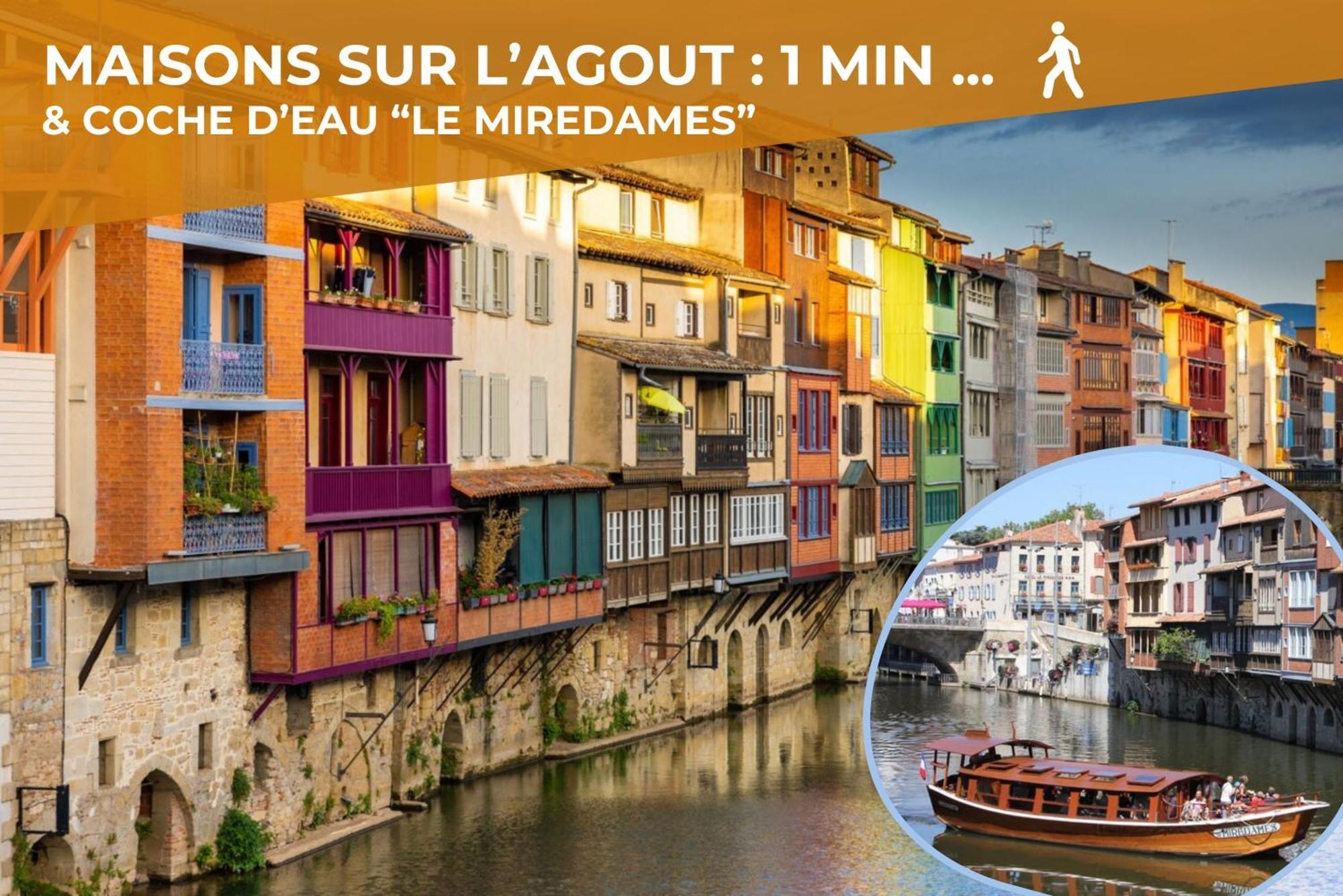 Le Canope - T3 Duplex, 2 Salles D'Eau, Hypercentre Castres  Exterior photo