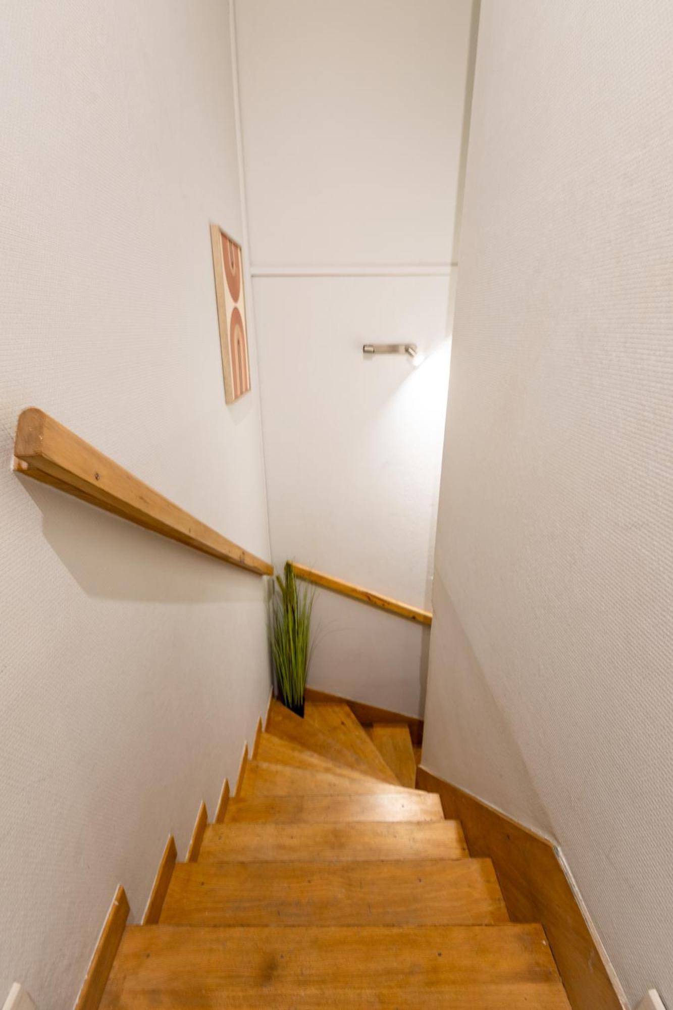 Le Canope - T3 Duplex, 2 Salles D'Eau, Hypercentre Castres  Exterior photo