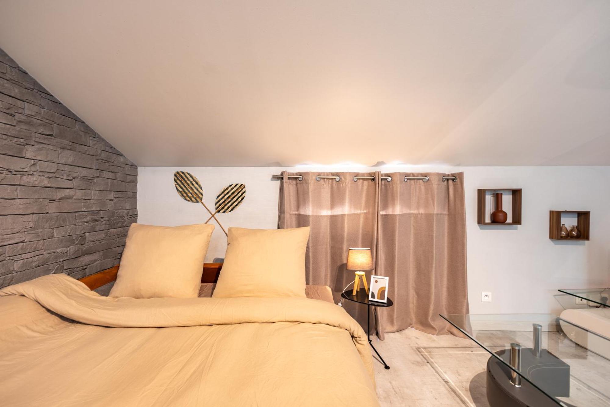 Le Canope - T3 Duplex, 2 Salles D'Eau, Hypercentre Castres  Exterior photo