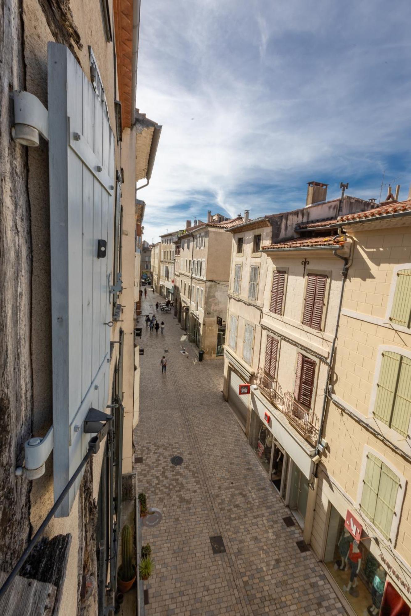 Le Canope - T3 Duplex, 2 Salles D'Eau, Hypercentre Castres  Exterior photo